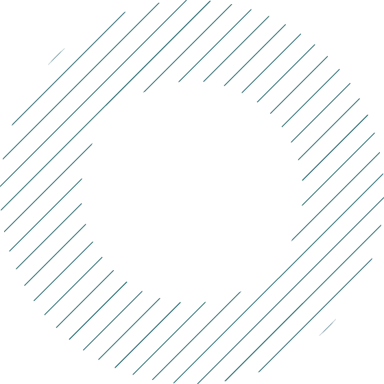 Frame Evex X - The Hidden History of Frame Evex X